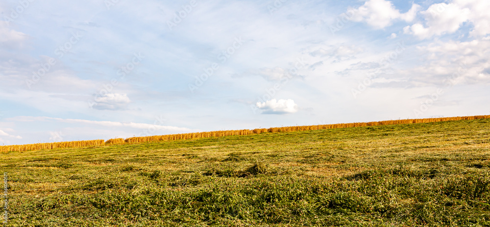Fototapeta premium Hintergrundmotiv: Felder vor blauem Himmel mit weißen Wolken