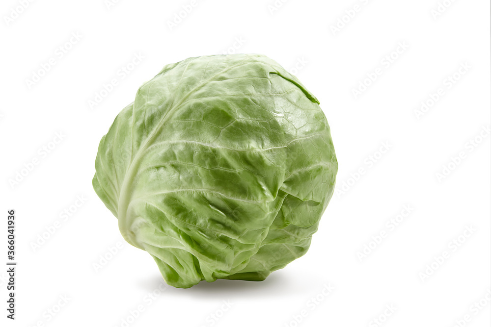 White-headed cabbage isolated on white background. Smooth-leafed vegetable, fresh harvest. Close up, copy space White-headed cabbage isolated on white background. Smooth-leafed vegetable, fresh harvest. Close up, copy space