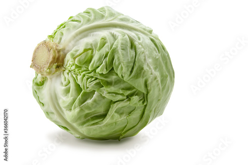 Fresh white-headed cabbage isolated on white background. Ripe vegetable, summer harvest. Close up, copy space © nazarovsergey