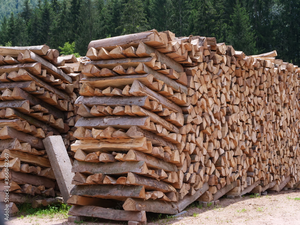 A row of wood in the Vosges aera. (France, july 2020)