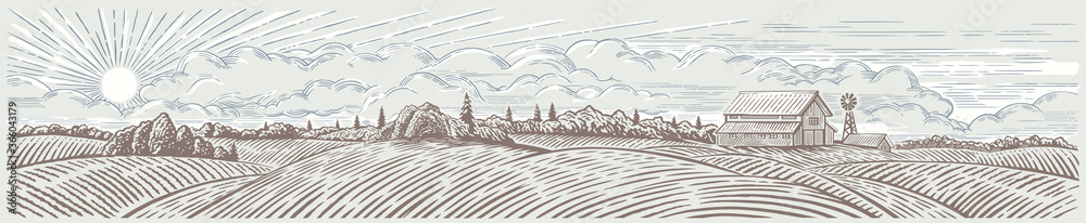 Rural landscape panoramic format with a farm. Hand drawn Illustration in engraving style.	 - obrazy, fototapety, plakaty 