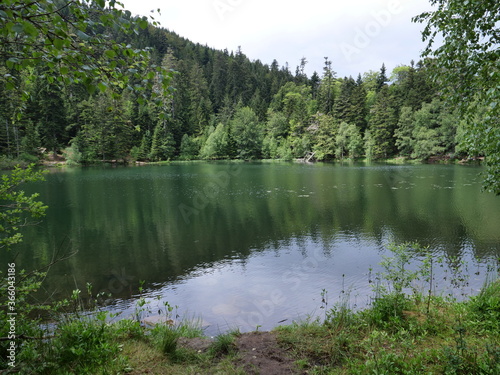 The small lake of  la Maix  at Vexaincourt in the east of France.