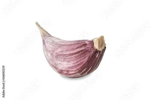 One raw unpeeled clove of garlic, isolated on white background. Vegetable, spice. Ripe summer harvest. Close up, copy space
