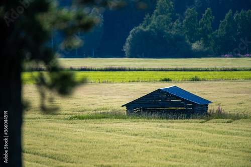 A beautiful rural closeup of an old and abandoned granary building in the middle of a field. photo