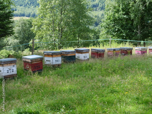 Some hives in the east of France.