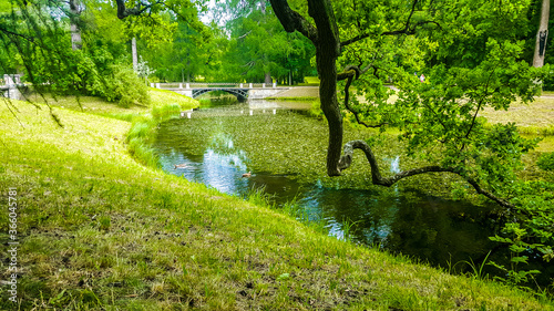 Summer landscape with river in the forest. Tsarskoye Selo (Pushkin), St. Petersburg, Russia