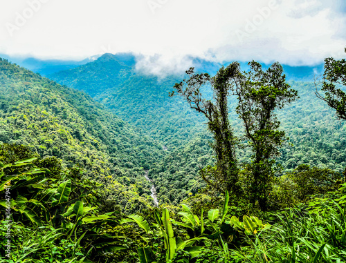 landscape with trees and mountains, in costa rica central america photo