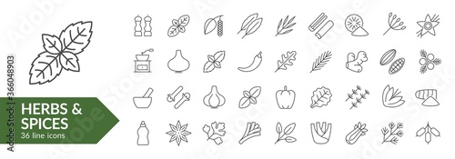 Herbs & spices line icon set. Isolated signs on white background. Vector illustration. Collection