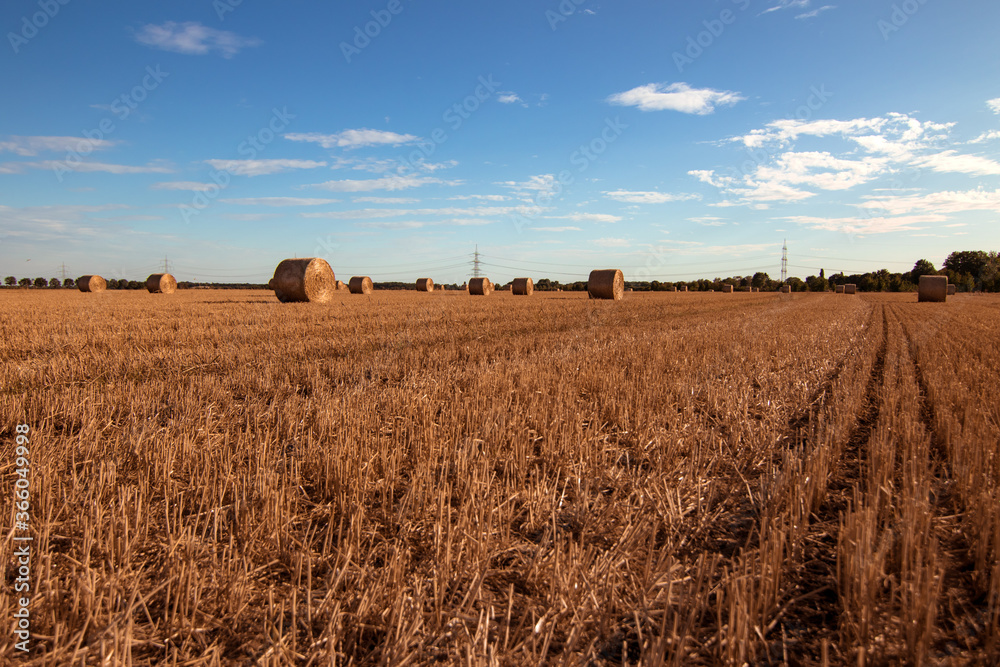 Heuballen auf Feld