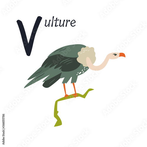 Funny image of a vulture and letter V. Zoo alphabet collection.
