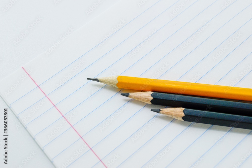 Griffin pencils on a white blank sheet notebook in the lineup. Griffin pencils on a white blank sheet notebook in the lineup.