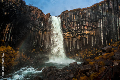 Svartifoss a spectacular waterfall in Skaftafell National Park, southern Iceland