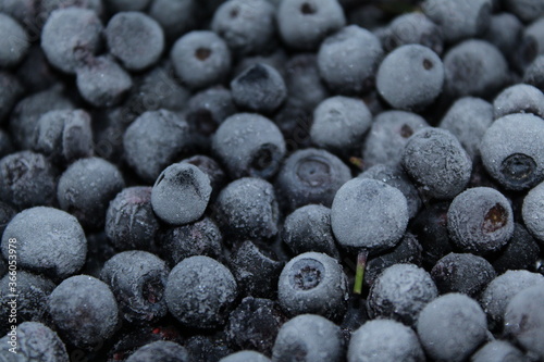 blueberries on wooden background