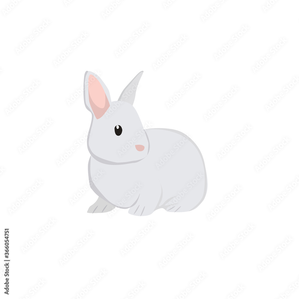 Rabbit Illustration