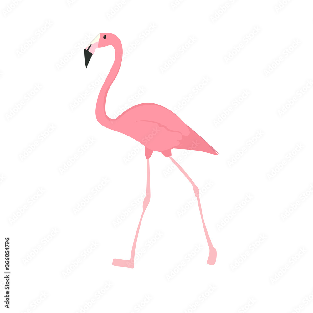 Fototapeta premium Flamingo Illustration