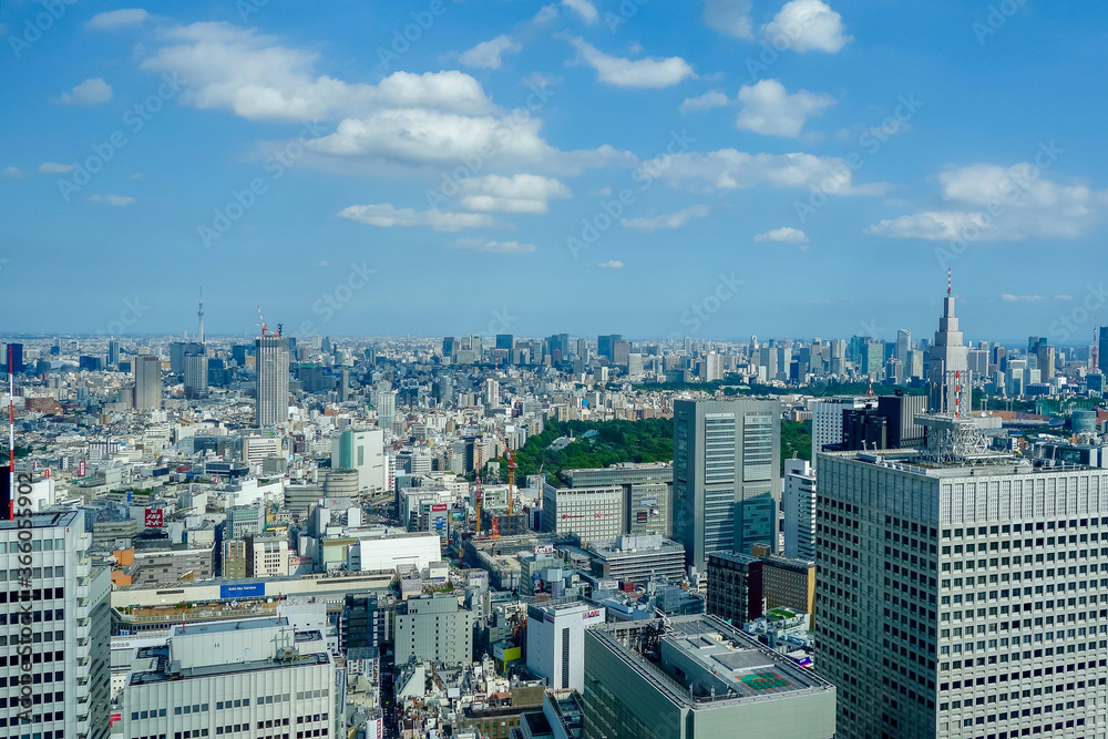 Tokyo Panorama Japan