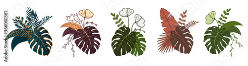 Set Floral composition of plants. Bouquet of tropical leaves and flowers. Botanical freehand line drawing on isolated background. Flat floral design for logo, labels, invitations and patterns.
