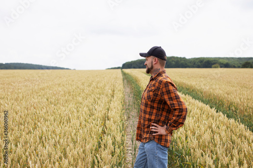 A farmer agronomist stands in a wheat field and inspects the wheat. Harvest time © Yevhenii Kukulka