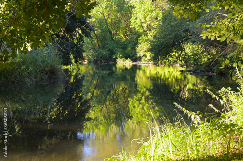 Naturschutzgebiet Taubergiessen in Rhinau