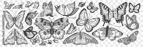 Hand drawn butterflies doodle set.