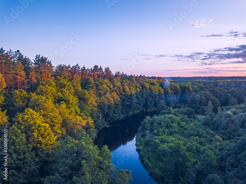 Summer warm sun light forest aerial view