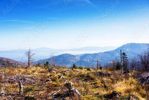 Fototapeta Naklejka Na Ścianę i Meble -  Foliage colors in Polish Beskidy mountains, Beskid Slaski, Poland