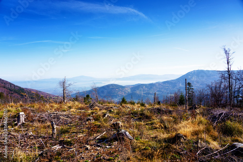 Fototapeta Naklejka Na Ścianę i Meble -  Foliage colors in Polish Beskidy mountains, Beskid Slaski, Poland