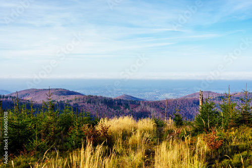 Fototapeta Naklejka Na Ścianę i Meble -  Foliage colors in Polish Beskidy mountains, Beskid Slaski, Poland