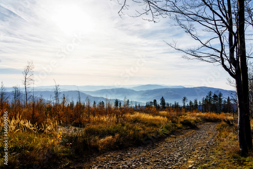 Fototapeta Naklejka Na Ścianę i Meble -  Foliage colors in Polish Beskidy mountains, Beskid Slaski, Poland