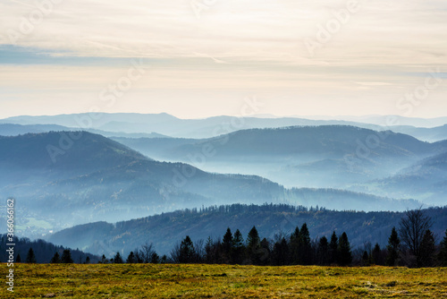 Fototapeta Naklejka Na Ścianę i Meble -  Foliage colors in Polish Beskidy mountains, Beskid Slaski, Poland