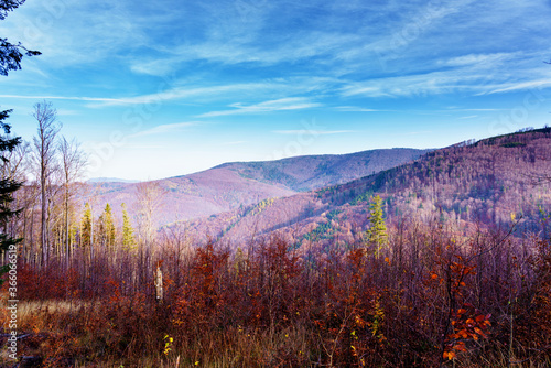 Fototapeta Naklejka Na Ścianę i Meble -  Foliage colors in Polish Beskidy mountains, Beskid Slaski, Poland