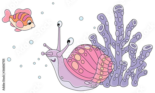 Funny marine snail and a sm...