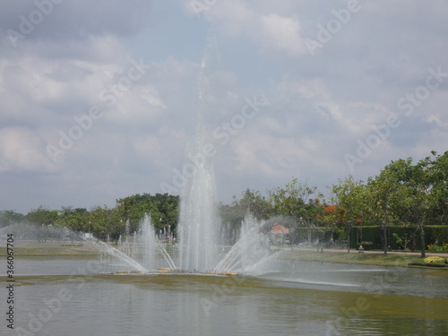 Water and trees in the park