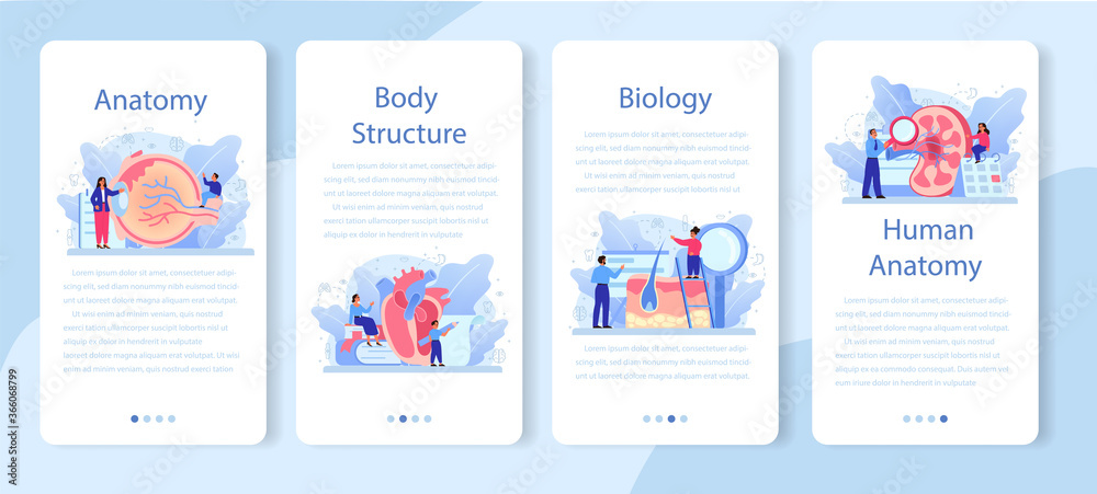 Anatomy school subject mobile application banner set. Internal human