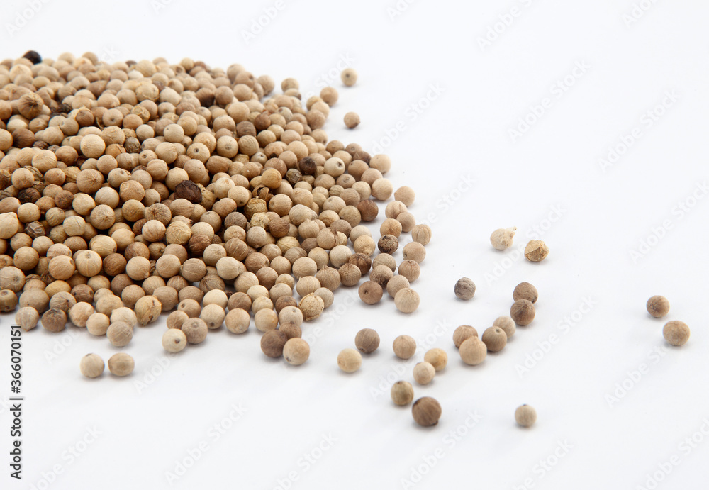White pepper consists solely of the seed of the ripe fruit of the pepper plant, with the thin darker-coloured skin (flesh) of the fruit removed. White pepper consists solely of the seed of the ripe fruit of the pepper plant, with the thin darker-coloured skin (flesh) of the fruit removed.