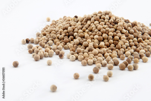 White pepper consists solely of the seed of the ripe fruit of the pepper plant, with the thin darker-coloured skin (flesh) of the fruit removed. 