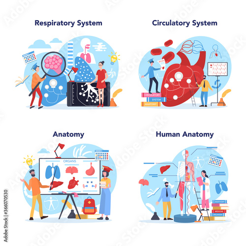 Anatomy school subject set. Internal human organ studying. Anatomy
