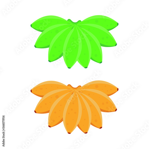 Bananas Vector illustration. with flat cartoon design. green and yellow color. ripe and immature banana.
