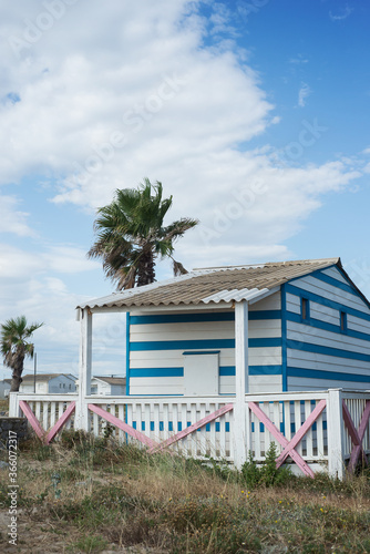 view of wooden hut and palm tree on the beach in Gruissan in France © pixarno
