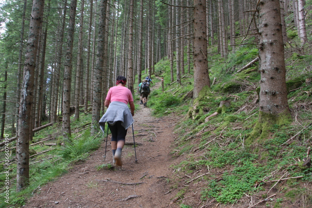 steiermark steiermark