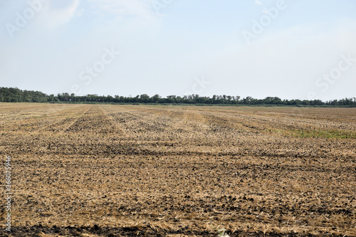 Wheat was harvested from the field and the field was prepared for plowing.