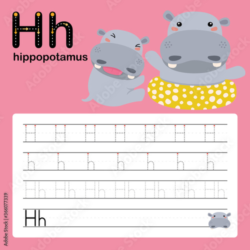 H, hippopotamus, Alphabet tracing worksheet for preschool and kindergarten, vector, illustration 