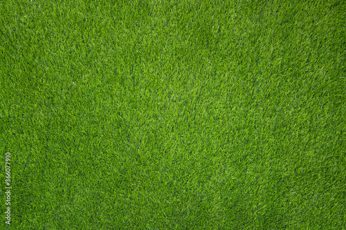 Top view of green grass texture.