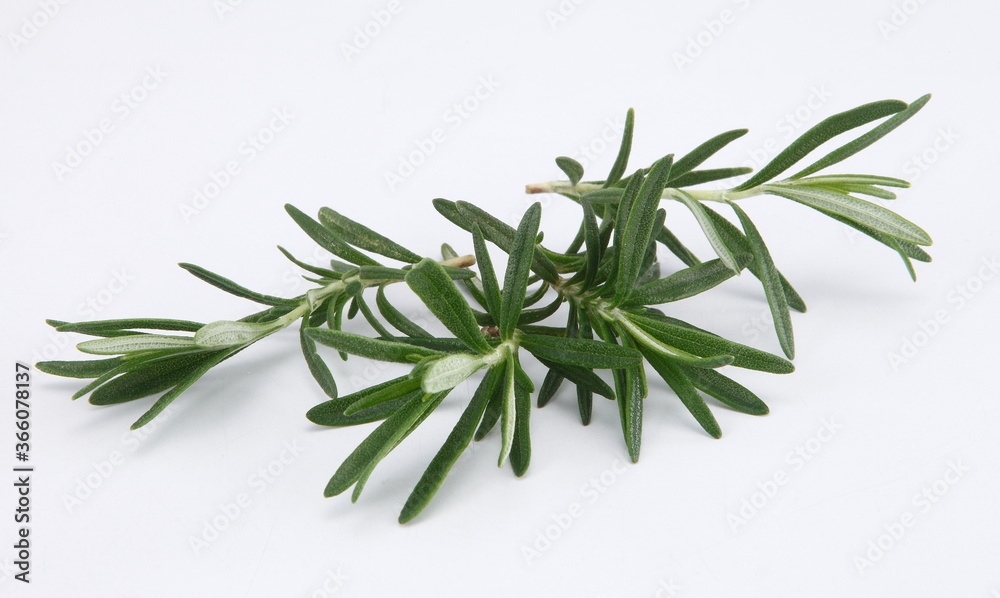 Rosemary is an herb. It is native to the Mediterranean region but is now grown worldwide. ... In foods, rosemary is used as a spice. Rosemary is an herb. It is native to the Mediterranean region but is now grown worldwide. ... In foods, rosemary is used as a spice.
