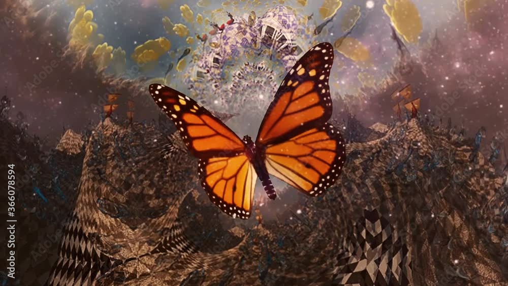 Butterfly Effect. Moth in moving surreal scene