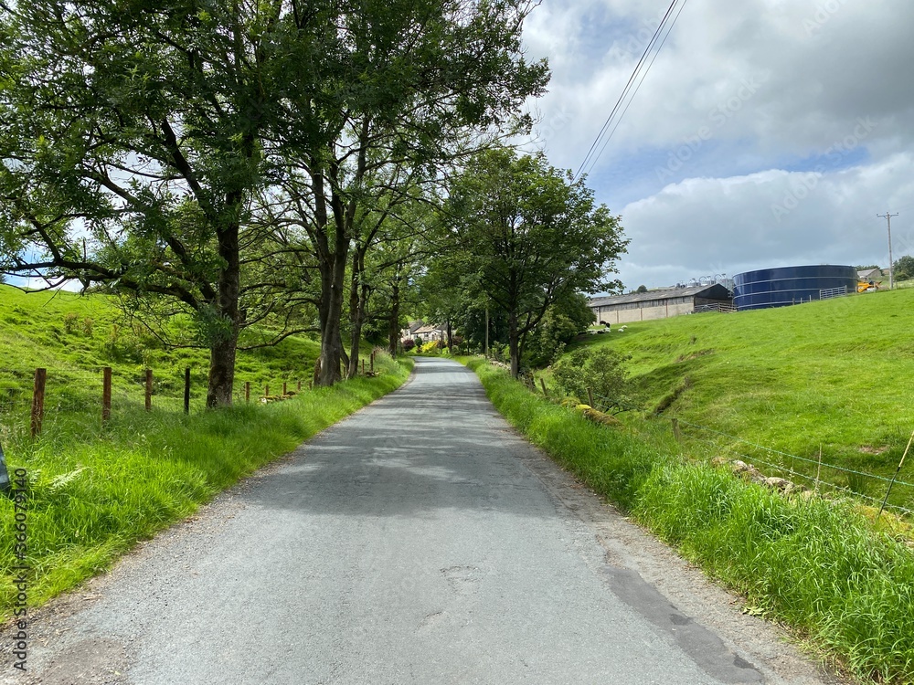 Country road, next to old trees, fields and a farm building near, Settle, Yorkshire, UK