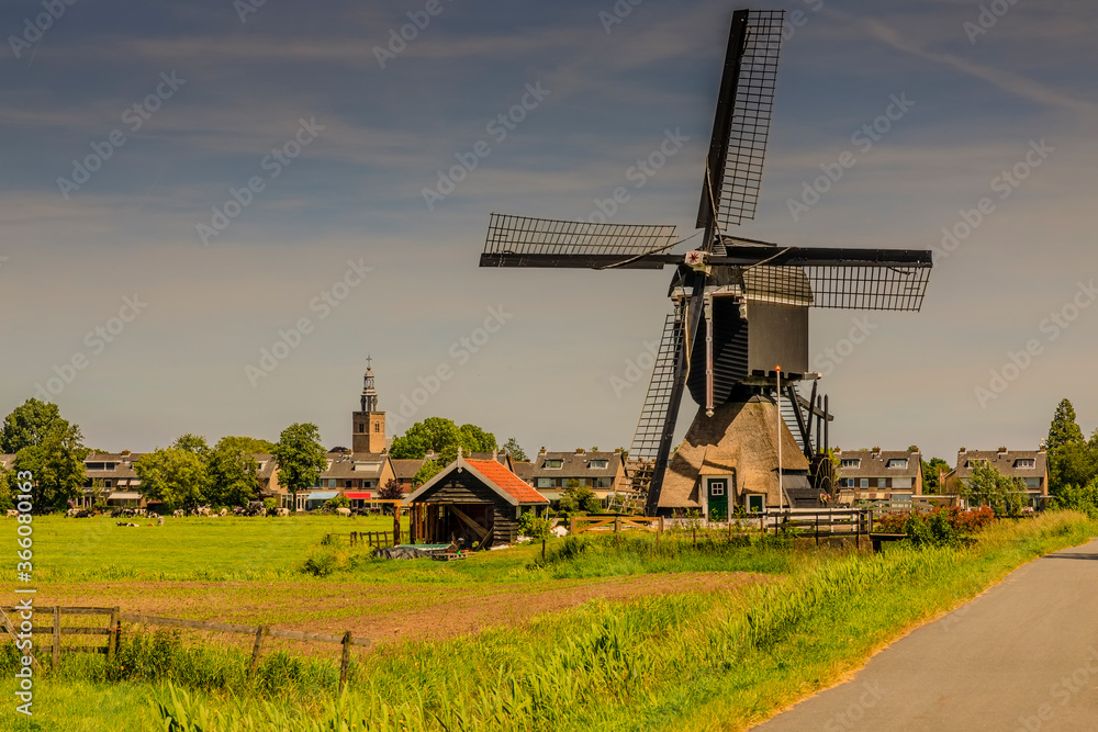 Windmühle, Rotterdam, Kinderdijk, Streetkerk
