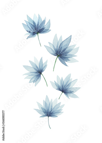 Fototapeta Naklejka Na Ścianę i Meble -  Watercolor indigo blue beautiful flowers, Hand drawn illustration isolated on white