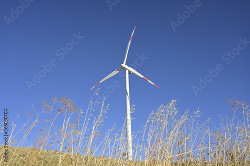 Pala eolica su sfondo azzurro  e campo di grano © Marco