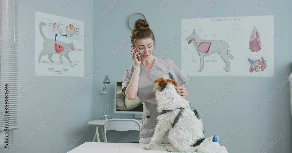 Woman veterinarian wearing medical suit speaking on phone, talking